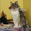 Отзыв от Любовь Чернова